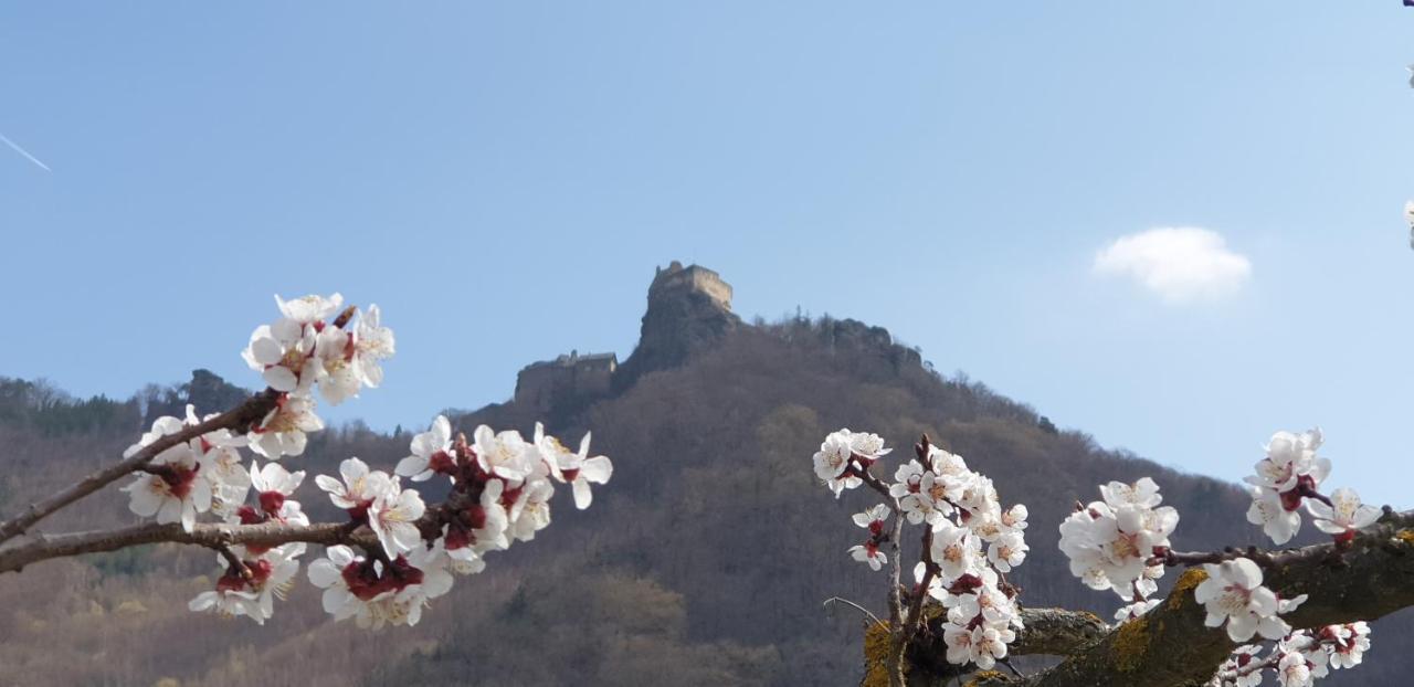 Donauwirt - Hotel Garni Вайсенкирхен-ин-дер-Вахау Экстерьер фото